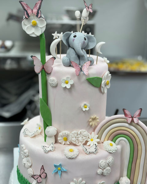 cakes_0013_cake13